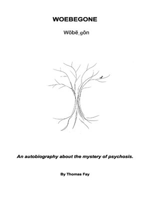 cover image of WOEBEGONE